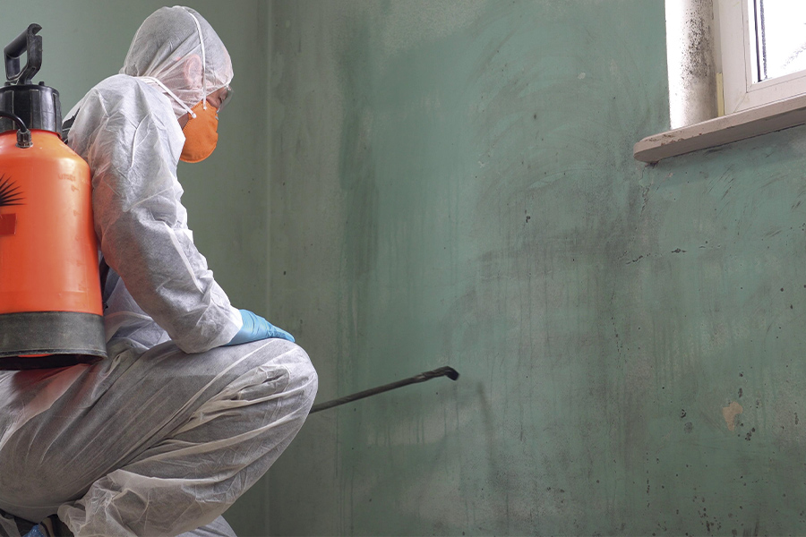 removal-of-mold-high-quality-miami-fl.jpg